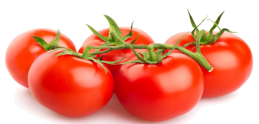 CONAB REGISTRA A MAIOR ALTA HISTÓRICA DE PREÇOS DO TOMATE - News Rondônia
