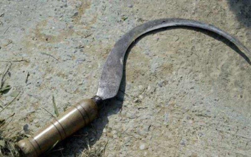 MULHER CORTA PÊNIS DE SEU CUNHADO COM FOICE APÓS SER ESTUPRADA - News Rondônia