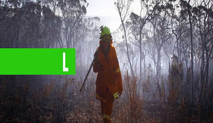 NÚMERO DE MORTOS EM INCÊNDIOS NA AUSTRÁLIA SOBE PARA 27 - News Rondônia