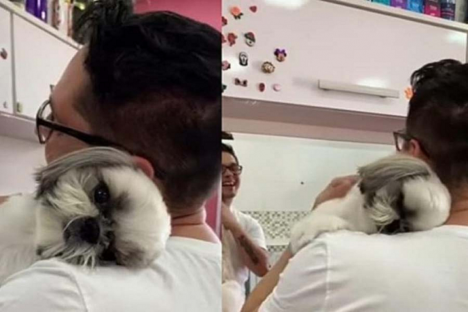 Em vídeo fofo, cãozinho agradece carinho e abraça o tosador - News Rondônia