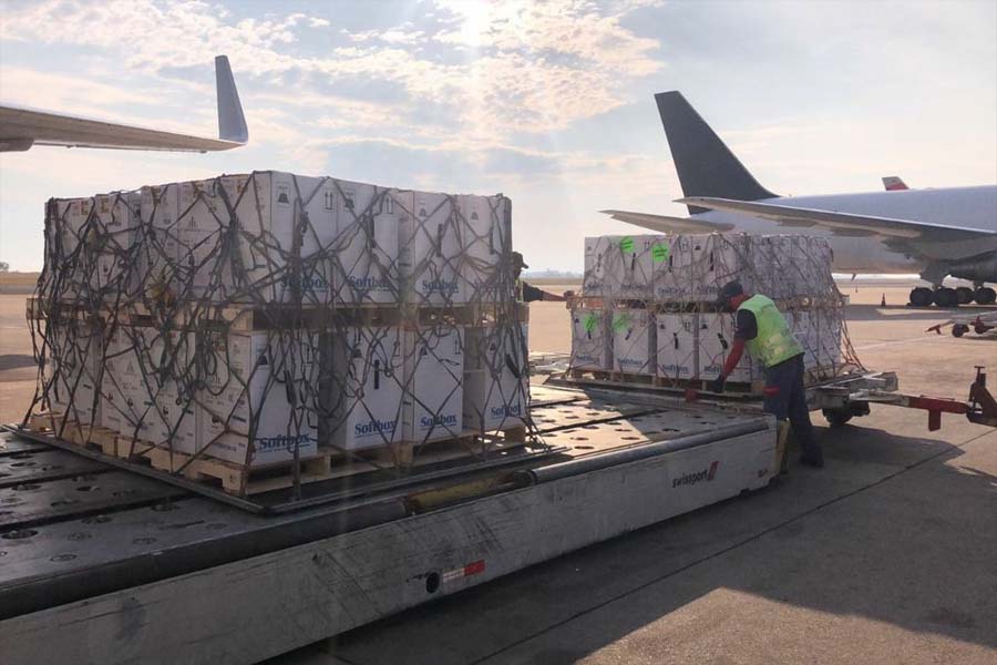 Mais de 3,6 milhões de vacinas da Pfizer chegam ao Brasil - News Rondônia