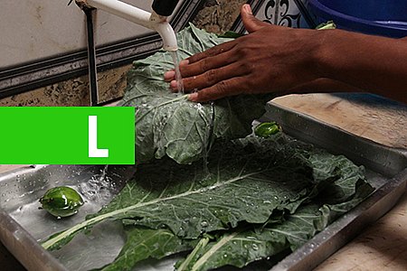 RONDÔNIA CRIA PROGRAMA VISANDO SEGURANÇA SANITÁRIA NA PRODUÇÃO E MANUSEIO DE ALIMENTOS - News Rondônia