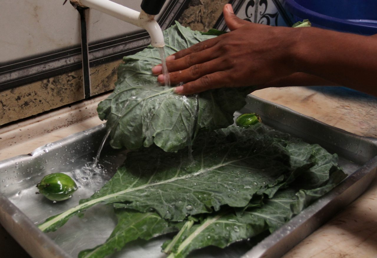 RONDÔNIA CRIA PROGRAMA VISANDO SEGURANÇA SANITÁRIA NA PRODUÇÃO E MANUSEIO DE ALIMENTOS - News Rondônia