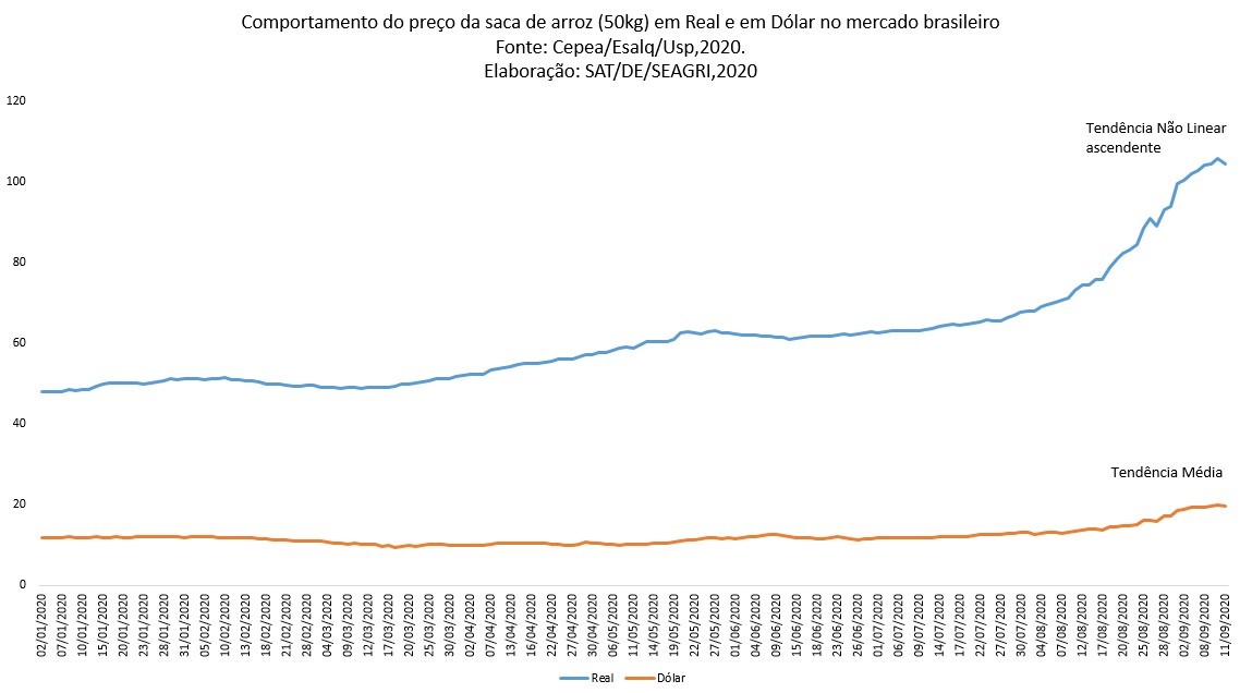 Produção de arroz em Rondônia alcança 139 mil toneladas na safra 2019/20 - News Rondônia