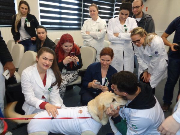 CÃO SALVA-VIDAS, HERÓI DE MARIANA, É APOSENTADO PELOS BOMBEIROS - News Rondônia