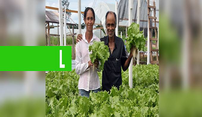 MINISTÉRIO DA AGRICULTURA LIBERA R$ 4 MILHÕES PARA ASSISTÊNCIA TÉCNICA E EXTENSÃO RURAL DE RONDÔNIA - News Rondônia