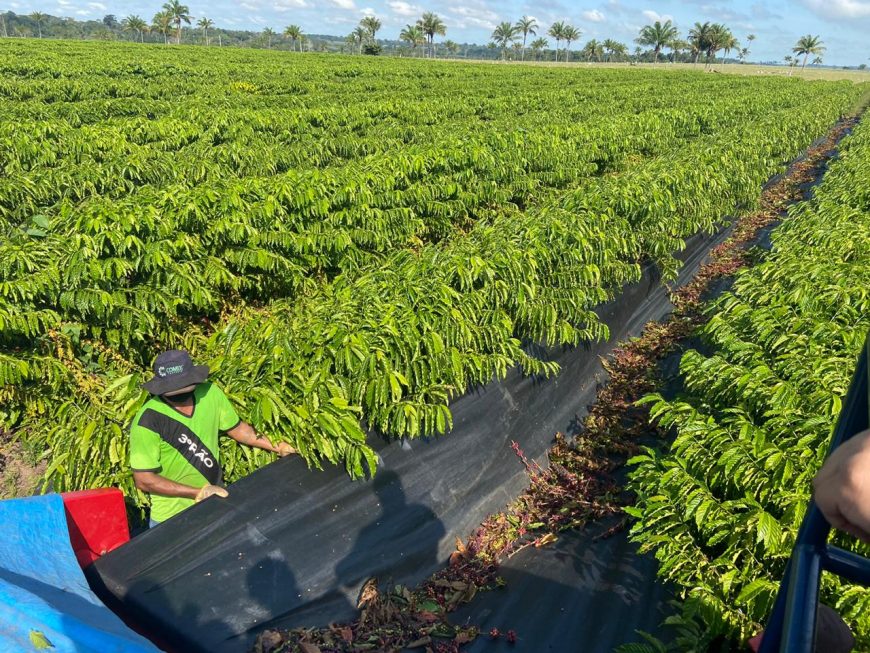 DESENVOLVIMENTO - Governo de Rondônia e Basa assinam Protocolo de Intenções para impulsionar o setor produtivo - News Rondônia