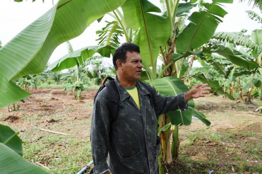 COM VARIEDADE DE CULTURAS, FAZENDA FUTURO, EM PORTO VELHO, PRODUZ BONS FRUTOS E RESSOCIALIZAÇÃO - News Rondônia