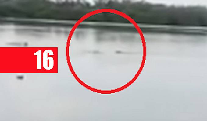 Homem morre após ser atacado por crocodilo em lago - Veja o vídeo - News Rondônia