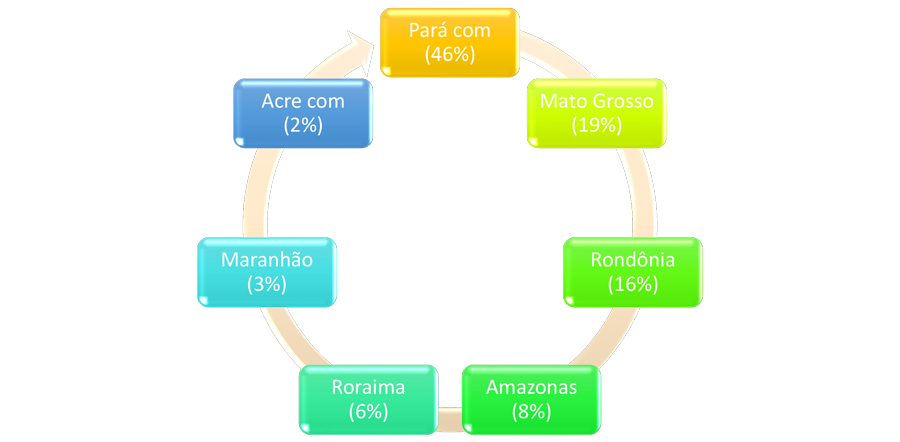 Desmatamento na Amazônia: Porto Velho lidera como a única capital da devastação - News Rondônia