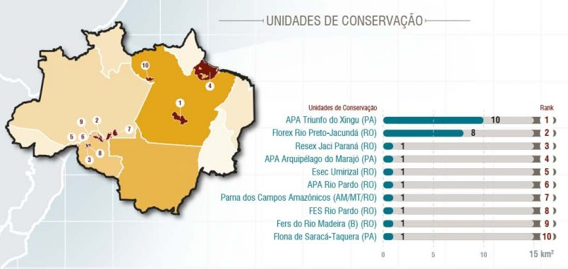 Desmatamento na Amazônia: Porto Velho lidera como a única capital da devastação - News Rondônia
