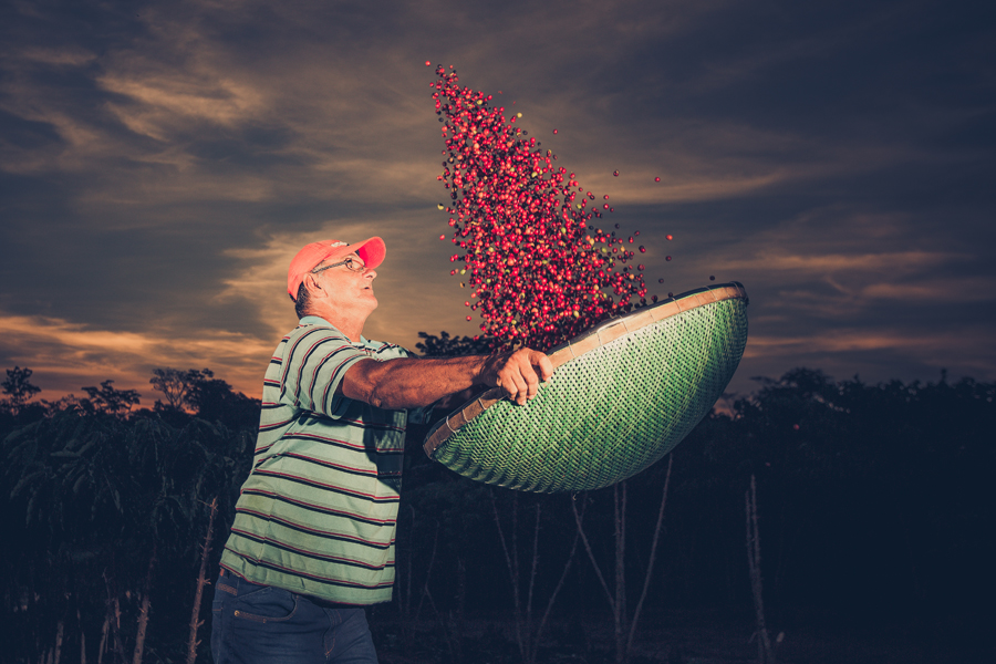 COFFEE OF THE YEAR: RUMO AO MELHOR CAFÉ DO BRASIL - News Rondônia