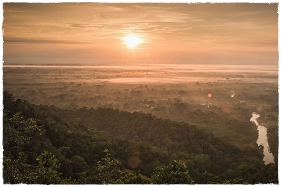 Justiça embarga edital que buscava estender a BR-364 passando por dentro Parque Nacional da Serra do Divisor - News Rondônia