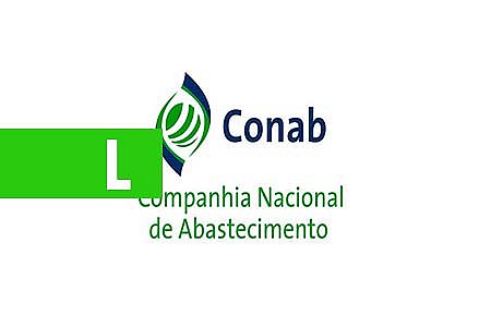 CONAB ESTIMA 2ª MAIOR COLHEITA DE MILHO NA SAFRA 2018/2019 - News Rondônia