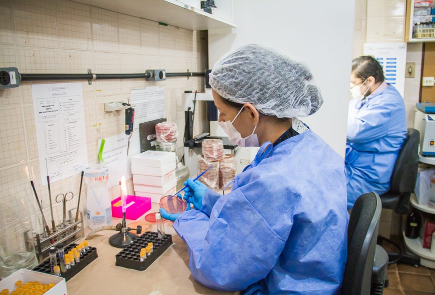 CURSO SOBRE DIAGNÓSTICO RÁPIDO DAS INFECÇÕES FÚNGICAS SERÁ MINISTRADO PELO CEPEM A PROFISSIONAIS DA SAÚDE EM RONDÔNIA - News Rondônia