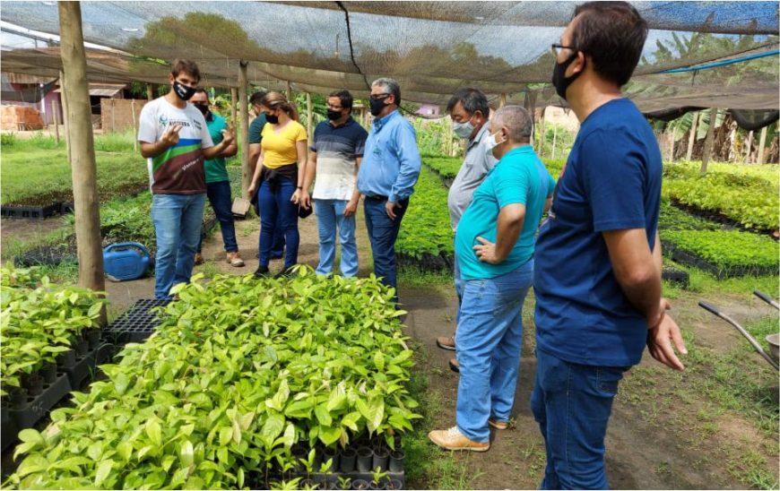 RETROSPECTIVA - Emater Rondônia cumpre metas e fortalece serviços de assistência técnica e extensão rural - News Rondônia