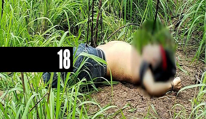GALO CEGO É MORTO APÓS TROCA DE TIROS COM A POLÍCIA - News Rondônia