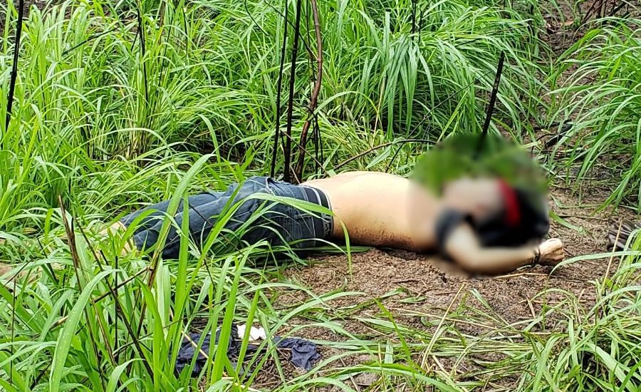 GALO CEGO É MORTO APÓS TROCA DE TIROS COM A POLÍCIA - News Rondônia