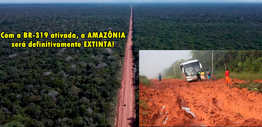 BR-319, UMA ESTRADA INÚTIL - POR PROFESSOR NAZARENO* - News Rondônia