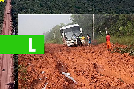 BR-319, UMA ESTRADA INÚTIL - POR PROFESSOR NAZARENO* - News Rondônia