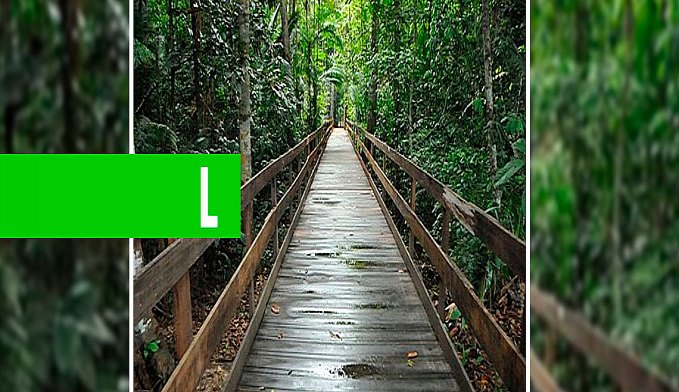 PORTO VELHO: PARQUE NATURAL OFERECE TRILHAS DURANTE O FERIADO - News Rondônia