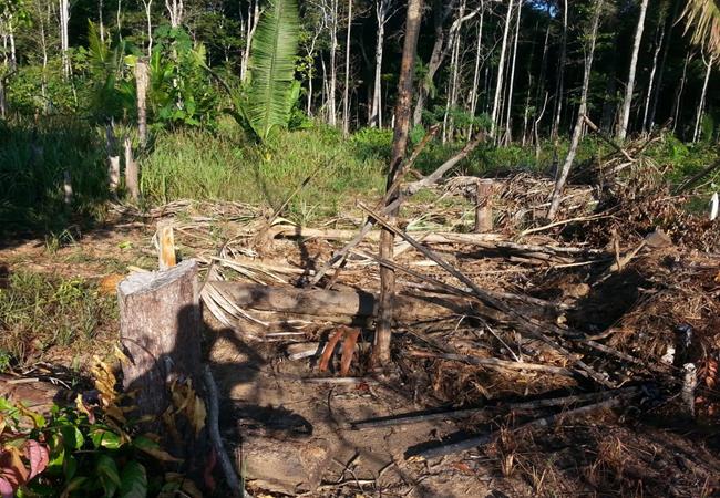 AGRICULTORES TÊM BARRACOS QUEIMADOS EM CANUTAMA - News Rondônia