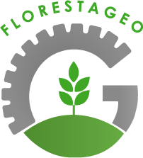 Recebimento da Licença Ambiental - G R CORDOVILA - News Rondônia