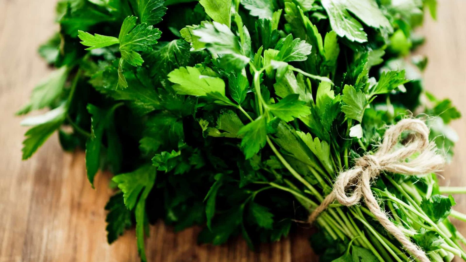 CINCO BENEFÍCIOS DA SALSA E TODAS AS PROPRIEDADES DESTE ALIMENTO - News Rondônia