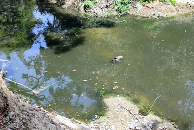 VIOLÊNCIA NO ACRE - Mulher é encontrada morta com marcas de agressões boiando no igarapé São Francisco - News Rondônia