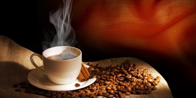 Sebrae em Rondônia reúne grandes parceiros para apoiar a cafeicultura - News Rondônia