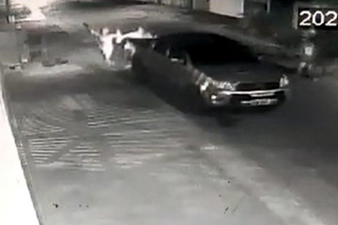 MAIS UM: Bandidos roubam caminhonete, sequestram vítima e a deixam amarrada em árvore - News Rondônia