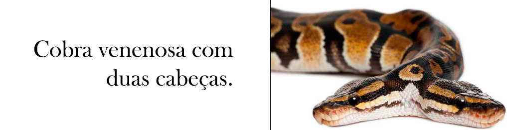 COMO SE SUPERAR EM 2020: COMO SER HUMANO... - News Rondônia