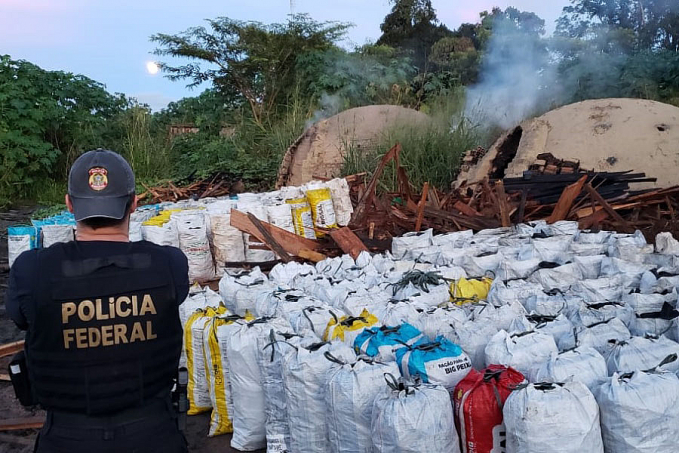 PF deflagra operação Floresta S/A para combater crimes ambientais cometidos por madeireiras irregulares em Rondônia - News Rondônia