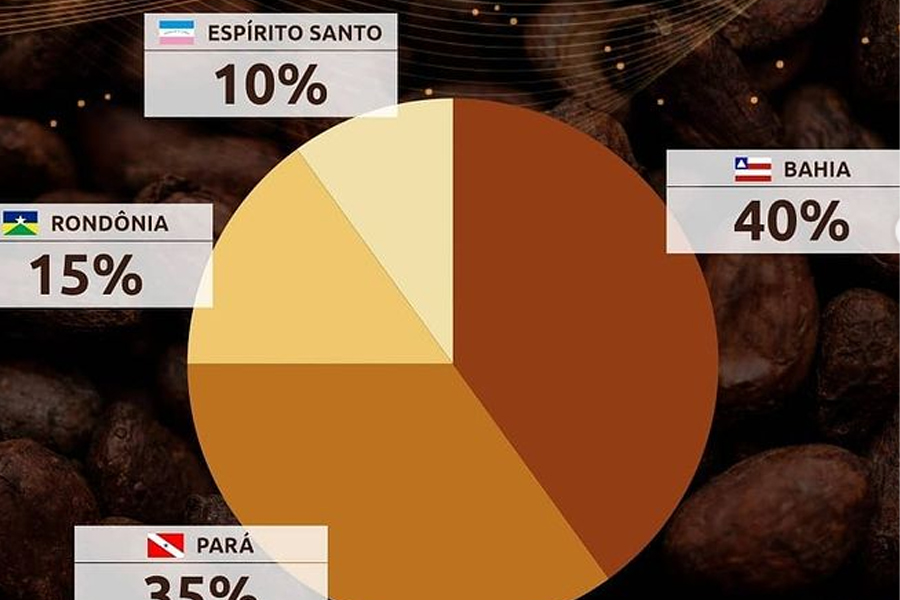 Rondônia tem produtores inscritos no III Concurso Nacional de Qualidade do Cacau - News Rondônia