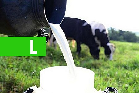 ESTUDO DA CONAB REVELA QUE BRASIL PRODUZ CERCA DE 7% DO LEITE MUNDIAL - News Rondônia