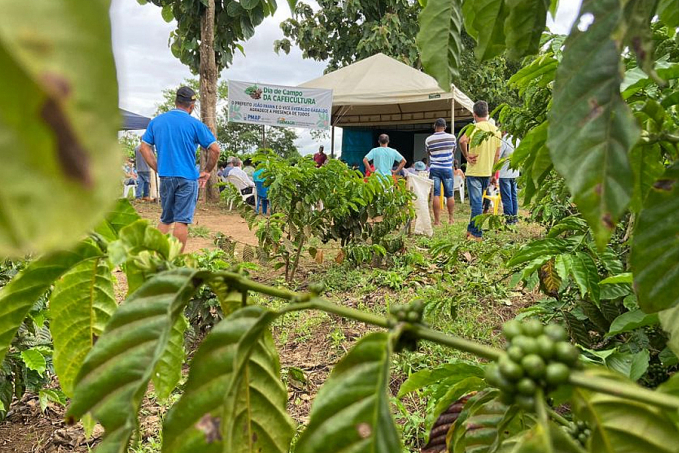 Emater promove 'Dia de Campo da Cafeicultura' para debater técnicas de manejo com produtores rurais em Alto Paraíso - News Rondônia