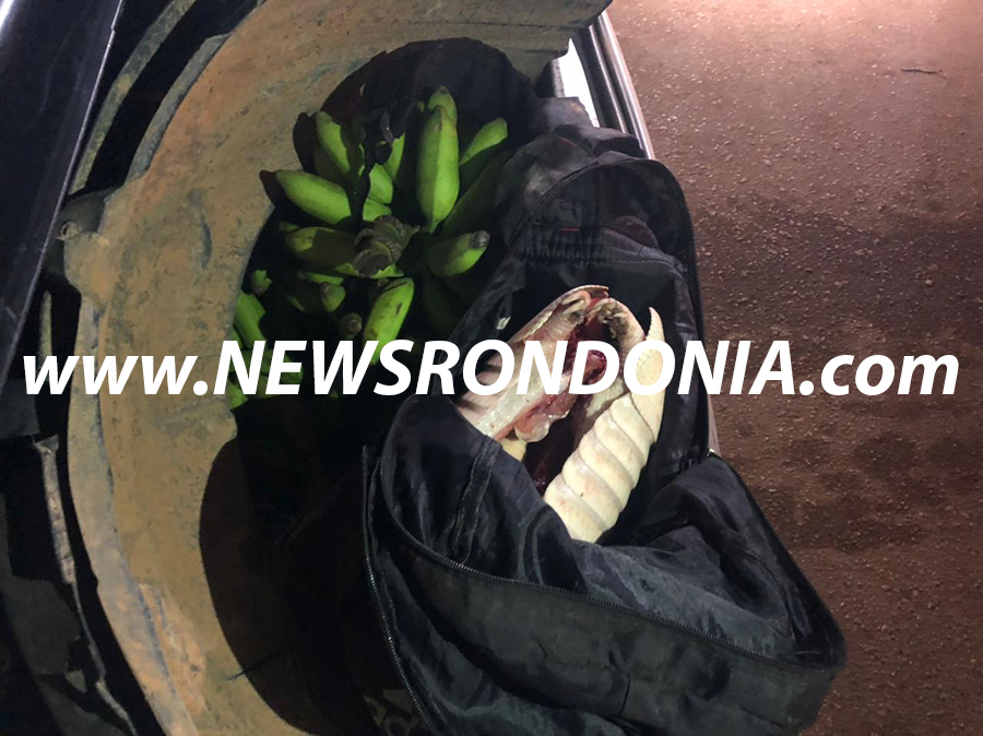 Foragido atira em borracheiro, causa vários acidentes durante fuga e acaba sendo baleado após troca de tiros com PM - News Rondônia