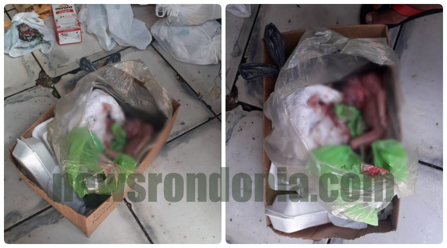 Feto é encontrado dentro de caixa de papelão em lixeira no Morar Melhor em Porto Velho - News Rondônia