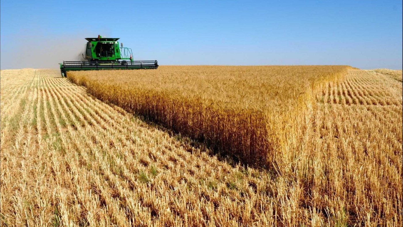 EXPORTAR É O MELHOR CAMINHO PARA O AGRONEGÓCIO - News Rondônia