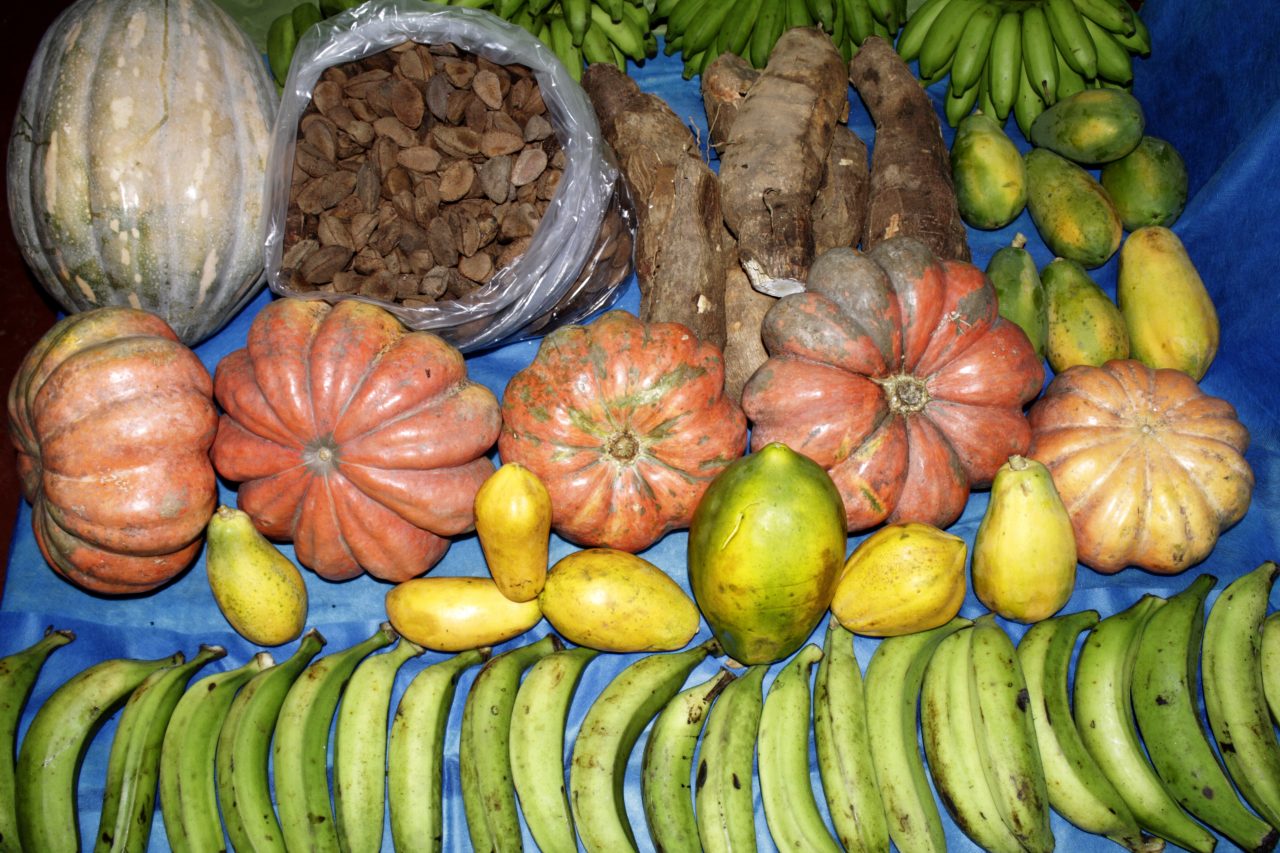 EXÉRCITO ABRE CHAMADA PÚBLICA PARA COMPRA DE MAIS DE R$ 1,3 MILHÃO EM PRODUTOS DA AGRICULTURA FAMILIAR EM PORTO VELHO - News Rondônia