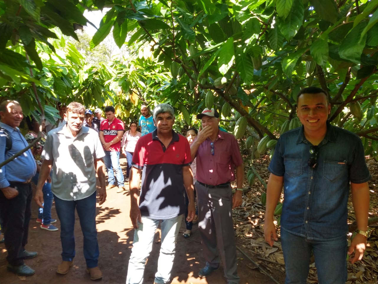 PRODUTORES ROLIMOURENSES PARTICIPAM DE DIA DE CAMPO SOBRE O CULTIVO DE CACAU CLONAL EM TARILÂNDIA - News Rondônia