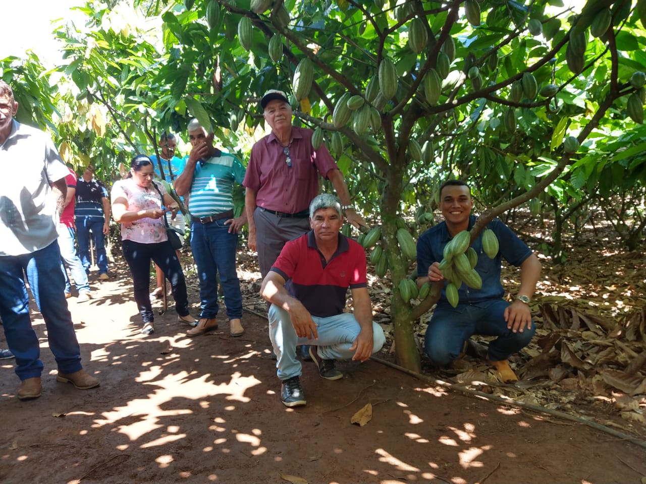 PRODUTORES ROLIMOURENSES PARTICIPAM DE DIA DE CAMPO SOBRE O CULTIVO DE CACAU CLONAL EM TARILÂNDIA - News Rondônia