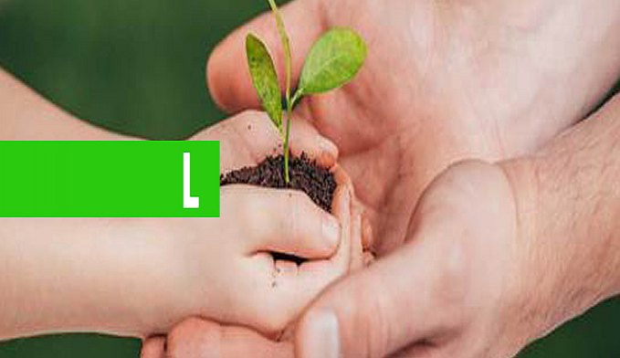 DIA MUNDIAL DO MEIO AMBIENTE - News Rondônia
