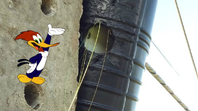 PICA-PAU FURA CAIXA DE FIBRA ÓTICA E DEIXA CIDADE QUATRO HORAS SEM INTERNET E TELEFONIA - News Rondônia