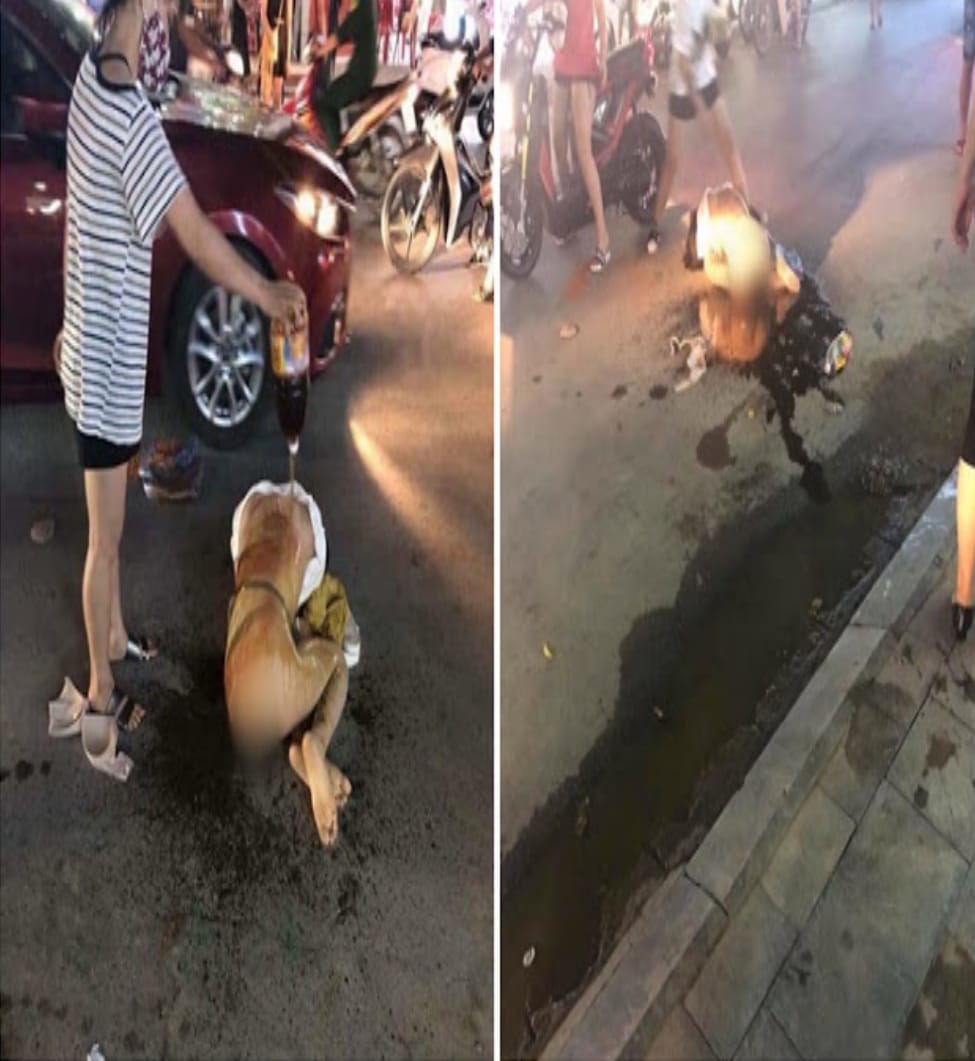 ESPOSA DEIXA AMANTE DO MARIDO NUA NO MEIO DA RUA E DERRAMA PIMENTA-MALAGUETA NELA - News Rondônia