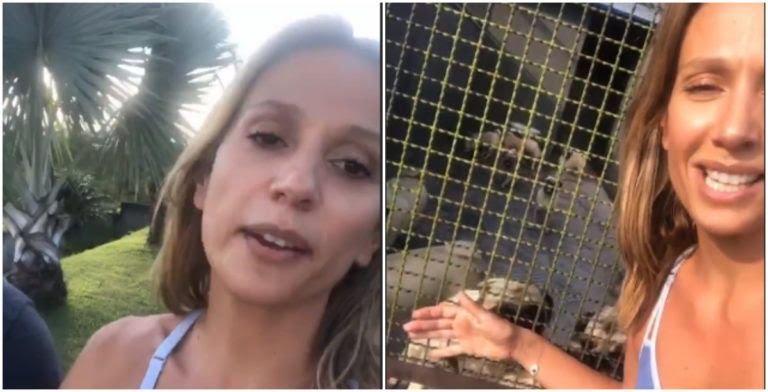 LUISA MELL SALVA 1707 CACHORROS PARA VENDA E É AMEAÇADA DE MORTE - News Rondônia