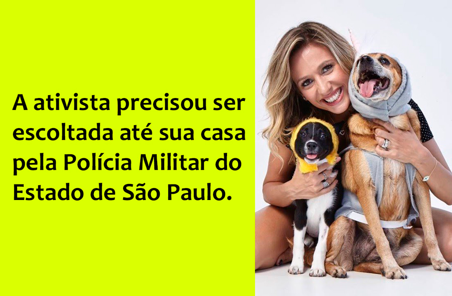 LUISA MELL SALVA 1707 CACHORROS PARA VENDA E É AMEAÇADA DE MORTE - News Rondônia