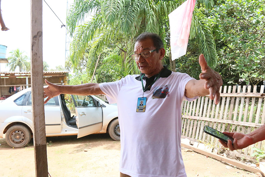 HISTÓRIAS DO TEIXEIRINHA  O SERINGUEIRO QUE PRODUZIU MAIS 30 MIL TONELADAS DE BORRACHA - News Rondônia