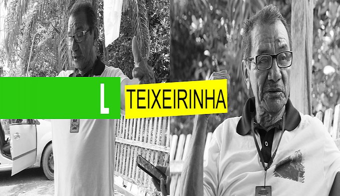 HISTÓRIAS DO TEIXEIRINHA  O SERINGUEIRO QUE PRODUZIU MAIS 30 MIL TONELADAS DE BORRACHA - News Rondônia