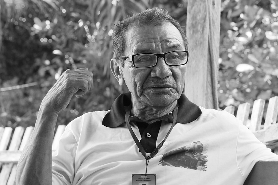 HISTÓRIAS DO TEIXEIRINHA  O SERINGUEIRO QUE PRODUZIU MAIS 30 MIL TONELADAS DE BORRACHA - News Rondônia